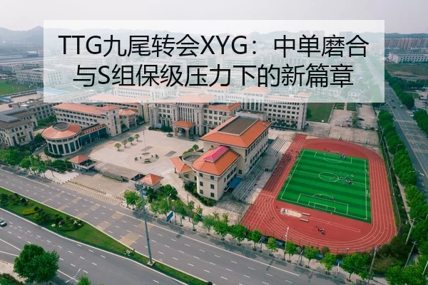 TTG九尾转会XYG：中单磨合与S组保级压力下的新篇章