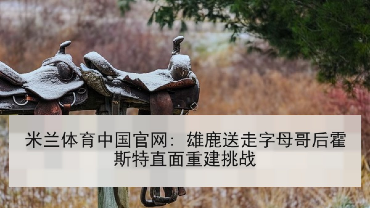 米兰体育中国官网: 雄鹿送走字母哥后霍斯特直面重建挑战